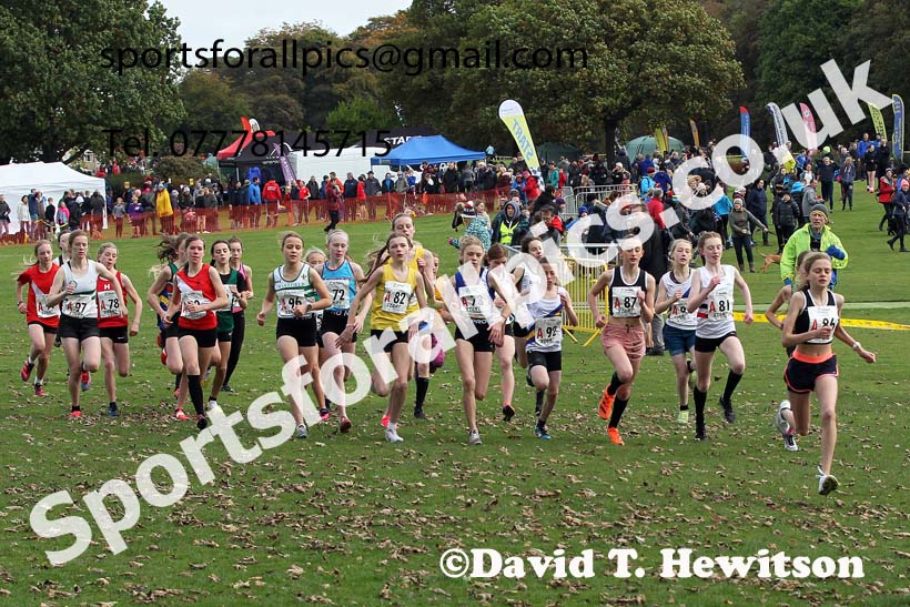 Girls under-13s Northern Cross Country Relays, Graves Park, Sheffield. Photo: David T. Hewitson/Sports for All Pics
